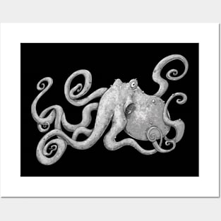 Octopus Posters and Art